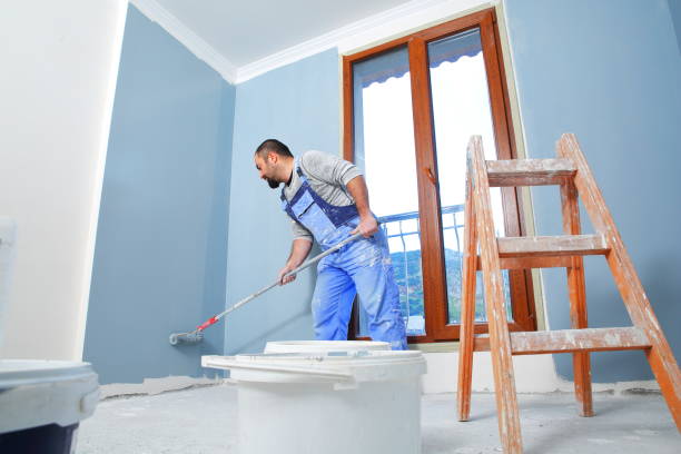  Cottonwood, MN Mold Removal Pros