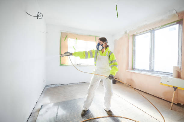 Best Basement Mold Removal  in Cottonwood, MN