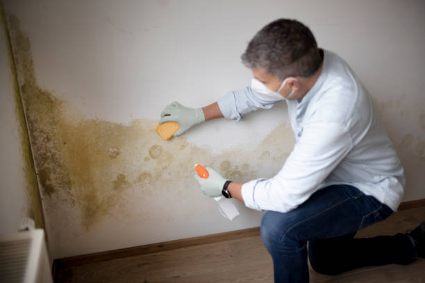 Best Biohazard Mold Removal  in Cottonwood, MN