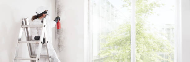 Best Air Quality Testing for Mold Spores  in Cottonwood, MN